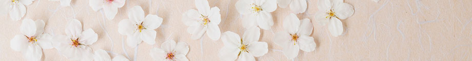 Background of Alison's headshot, flower in the eye